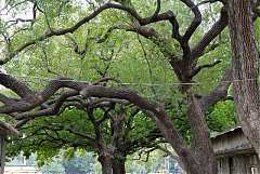 574734_578470662178192_110..