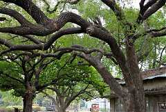 524977_578470748844850_151..