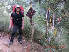 527671_10151355189409087_1..