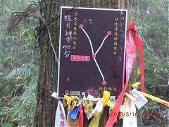 2013-03-16 水漾 113 (小型)