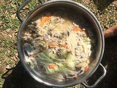 登白賓山遊桃花園、平安夜野..