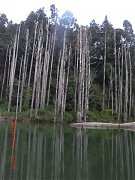 64127_10151355198114087_15..