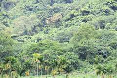 101年8月11~12日永續台東密..