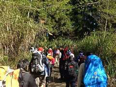 580526_554860074548274_190..