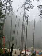 734181_10151355191104087_9..