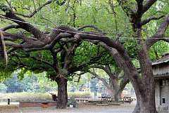 521297_578470638844861_315..