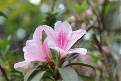 543917_578468792178379_212..