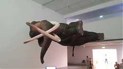 190713-永續-藝覽-高美館-太..