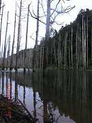 2013-03-17 水漾 017 (小型)