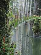 487987_10151355200029087_1..