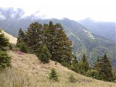 379203_413851725315777_100..