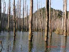 2013-03-17 水漾 145 (小型)