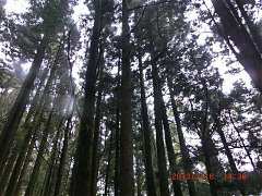 2013-03-16 水漾 082 (小型)