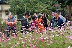 533249_578471382178120_170..