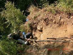 246441_10151355209654087_1..