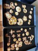 20190816讓愛旅行～台東2日..