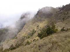 389681_413851408649142_100..