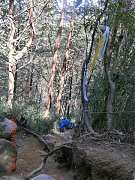 549873_10151355210389087_1..