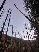 67072_10151355199169087_13..