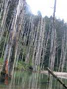 2013-03-17 水漾 093 (小型)