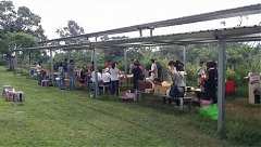 20194跳跳農場_190430_0008