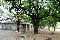 535368_578471058844819_818..