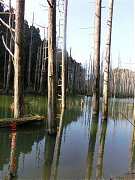 2013-03-17 水漾 134 (小型)