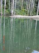 2013-03-17 水漾 098 (小型)