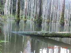 2013-03-17 水漾 045 (小型)