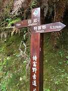 561277_448969718470644_154..