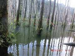 2013-03-17 水漾 058 (小型)