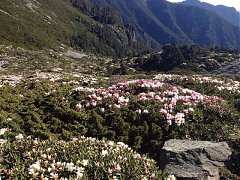 546231_413852391982377_100..