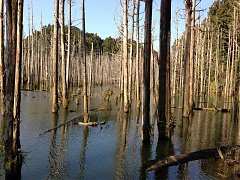 581831_554862354548046_314..