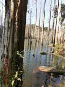 2013-03-17 水漾 141 (小型)