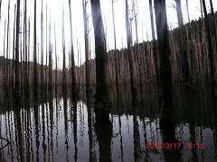 2013-03-17 水漾 056 (小型)