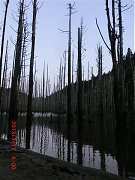 2013-03-17 水漾 026 (小型)