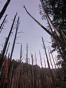 2013-03-17 水漾 036 (小型)