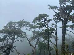 5316162精彩北大武 三天剛剛..