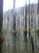 2013-03-17 水漾 052 (小型)