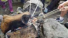 68709645_2493908157334814_..