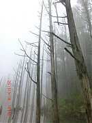 531566_10151355191444087_3..