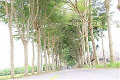 101年8月11~12日永續台東密..