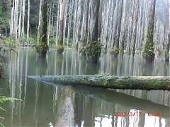 576093_10151355199529087_1..