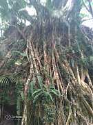 20190816讓愛旅行～台東2日..