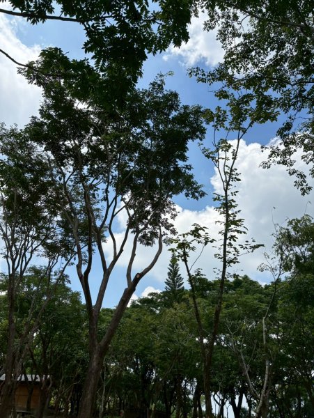 LINE_ALBUM_2025824 大崗山..