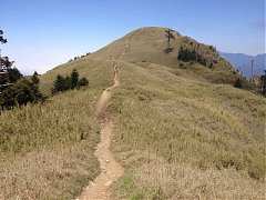 540365_413852648649018_100..