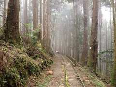 557077_448968481804101_147..