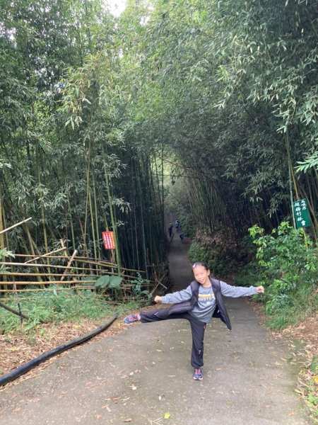 20201024-25國內旅遊_201231..