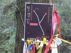 482148_10151355190254087_9..