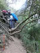 205401_10151355189664087_1..